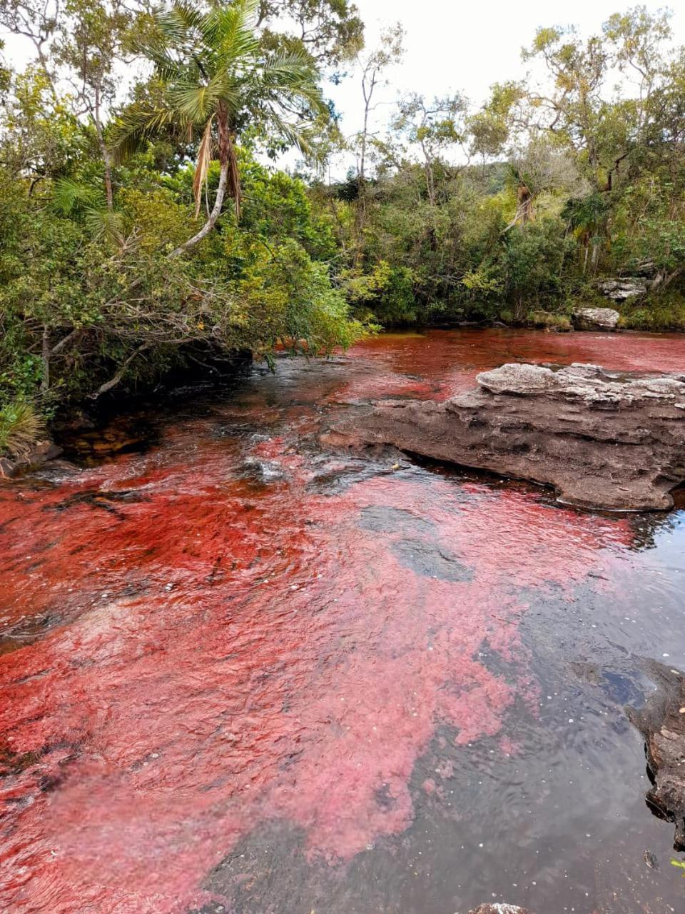 Hotel Ecologico Makalombia La Macarena Zewnętrze zdjęcie