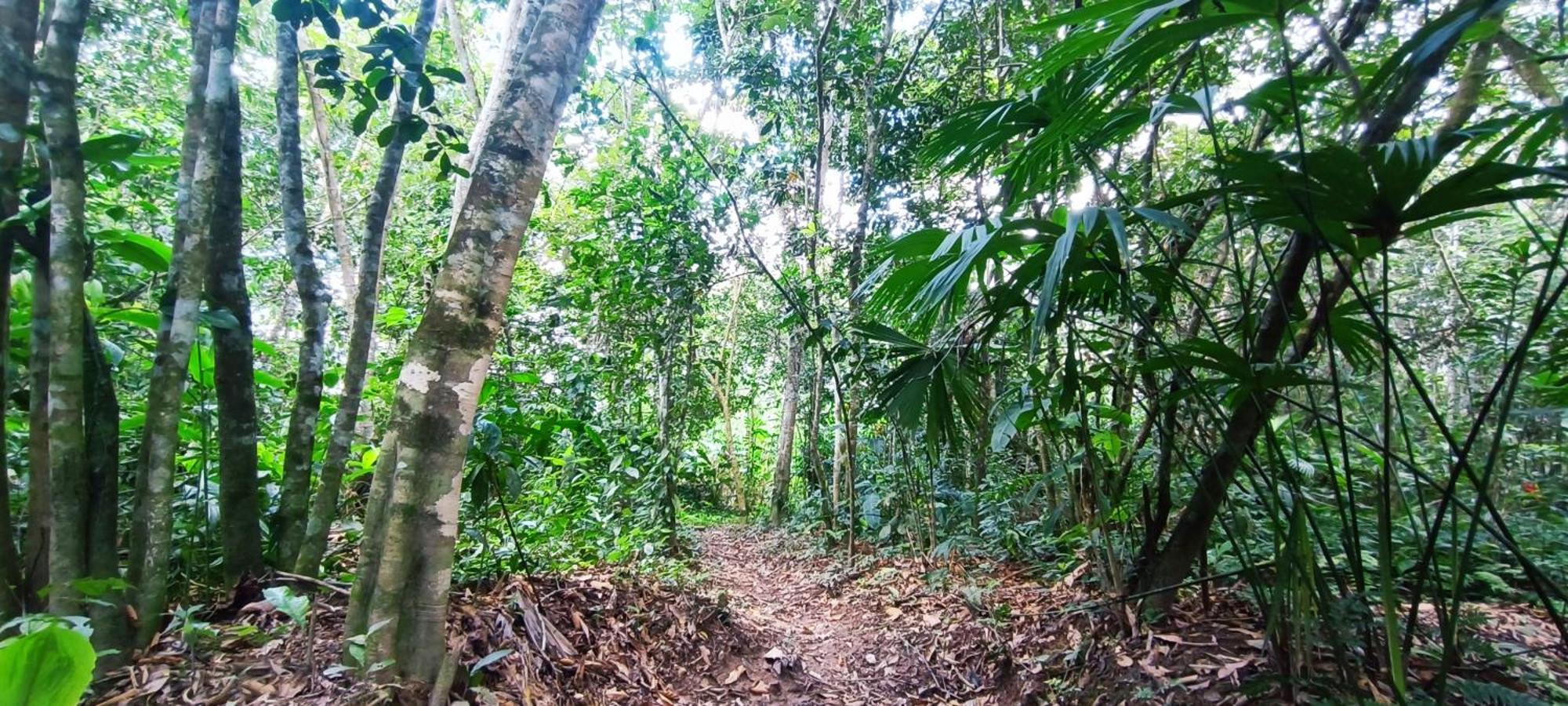 Hotel Ecologico Makalombia La Macarena Zewnętrze zdjęcie