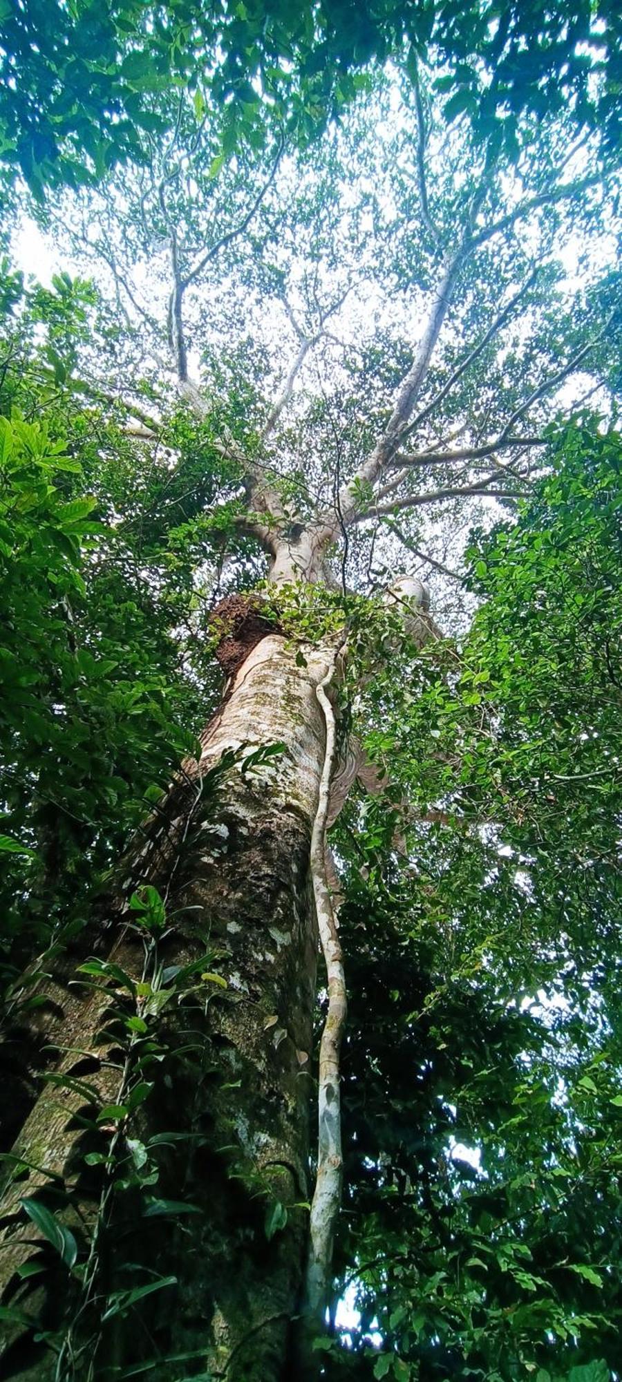 Hotel Ecologico Makalombia La Macarena Zewnętrze zdjęcie