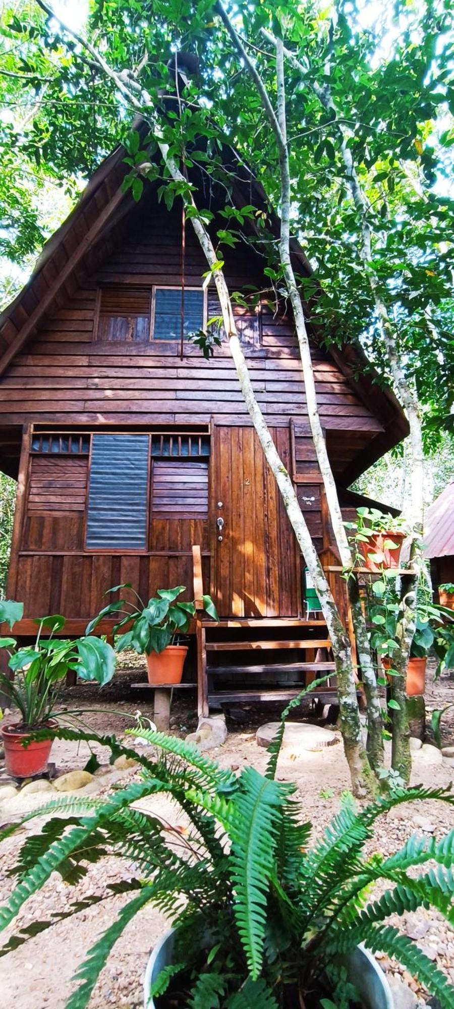 Hotel Ecologico Makalombia La Macarena Zewnętrze zdjęcie