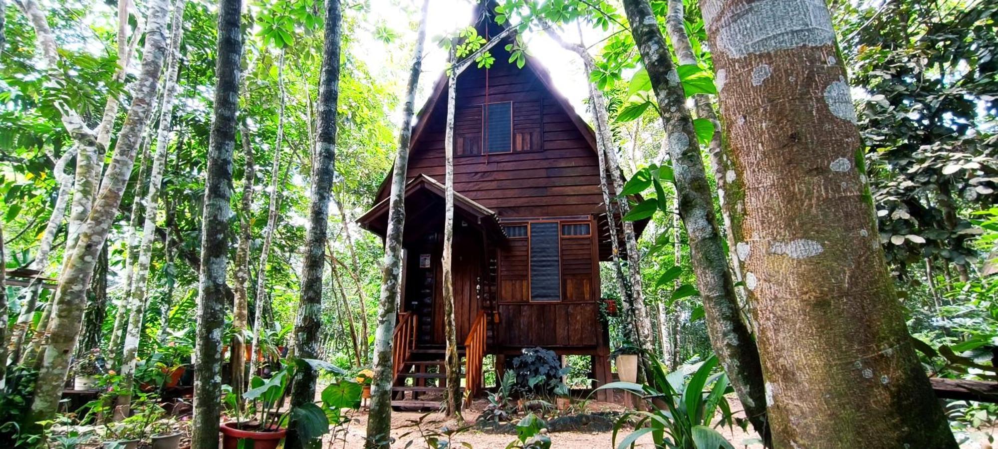 Hotel Ecologico Makalombia La Macarena Zewnętrze zdjęcie